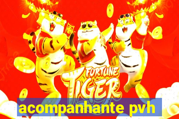 acompanhante pvh